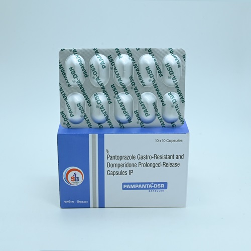 PAMPANTA- DSR Manufacturer in Baddi